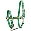 4-H Engraved Nylon Halter with Snap