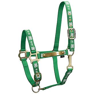 4-H Engraved Nylon Halter with Snap