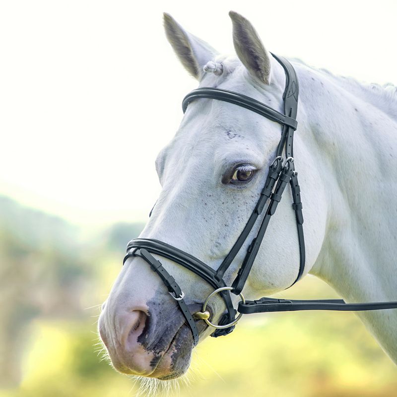 Velociti Padded Raised Flash Bridle Cob Black