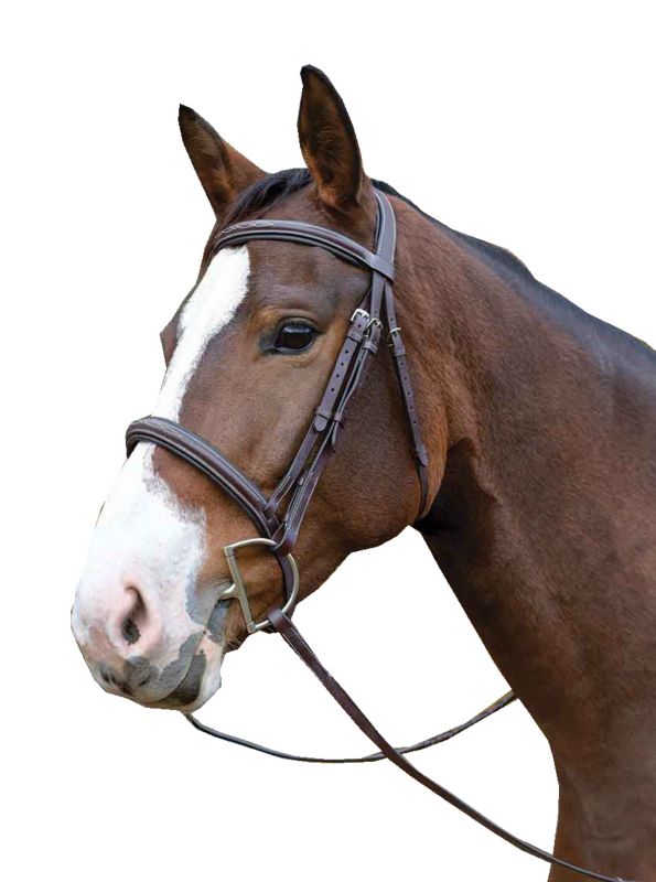 50001HAVANAPONY Shires Avignon Ocala Bridle Pony sku 50001HAVANAPONY