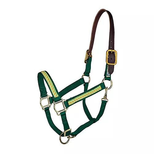 Perris Exclusive Safety Halter - Horse.com - WarehouseOutlet