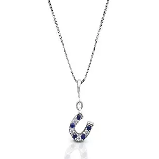 Kelly Herd Blue/Clear Dangle Horseshoe Necklace