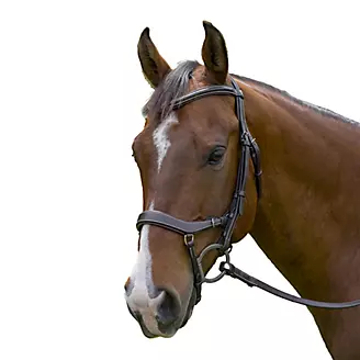 HDR Pro Anatomical Bridle