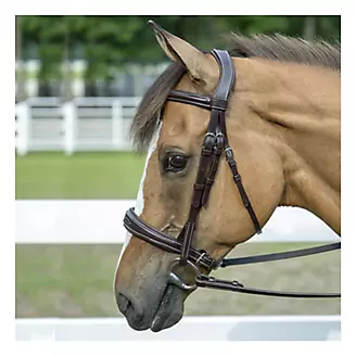 HDR Pro Mono-Crown Padded Bridle