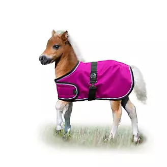Ozark Mini Adjustable Foal Blanket