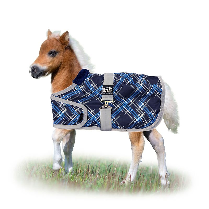 Ozark Mini Adjustable Foal Blanket WarehouseOutlet