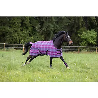 Kensington Leg Strap For Blankets (Horse Size), Sold as Pair - Black