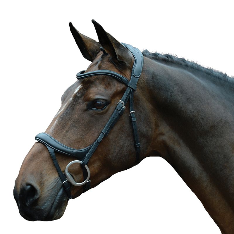 Collegiate Comfitec Vogue Bridle - StateLineTack.com