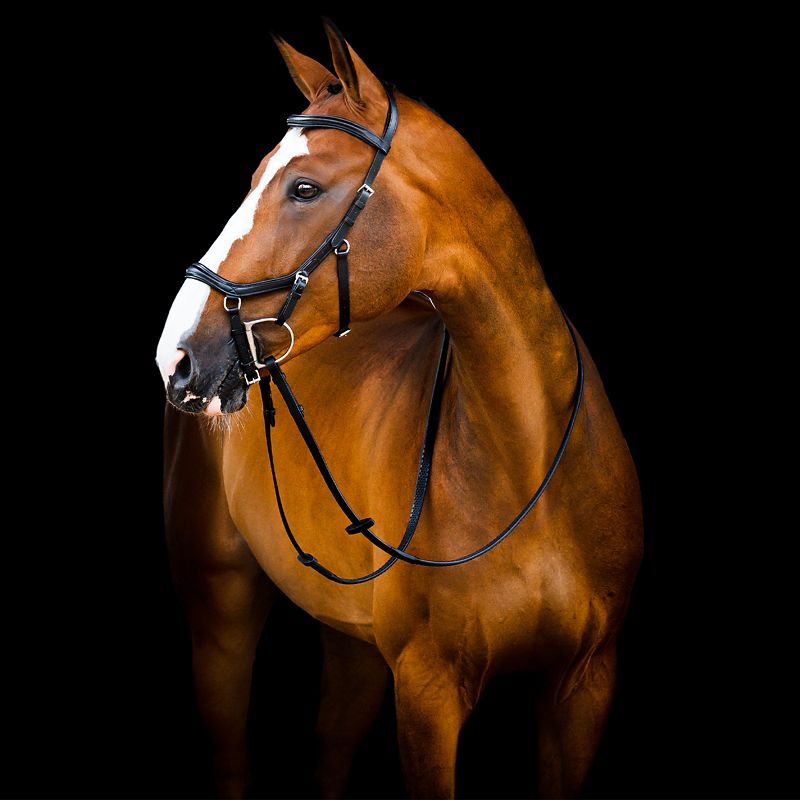 SBMUM2-K000-SC Micklem 2 Dlx Competition Bridle Cob Black sku SBMUM2-K000-SC