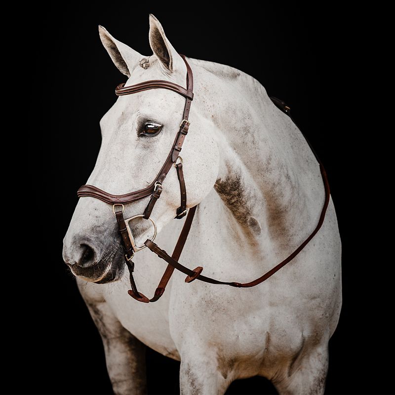 SBMUM2-NAB0-LC Micklem 2 Dlx Competition Bridle Lrg Cob Havana sku SBMUM2-NAB0-LC