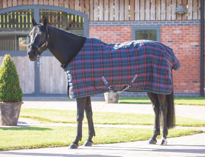Shires Tempest Plus 100g Stable Rug Green Check 81