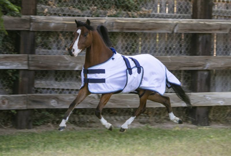 Kensington Mini Fly Sheet SureFit WarehouseOutlet