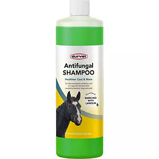 Durvet Antifungal Equine Shampoo 32 oz -