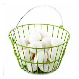 Ware Coated Wire Egg Basket Green 8.5