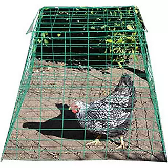 Animal Supplies Internat Pyramid Poultry Wire Cage