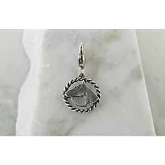 Barbary Horse Head In Rope Circle Silver