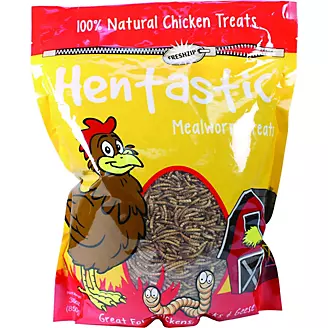 Hentastic Dried Mealworms 30oz