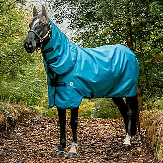 Delzani Brianna PRO · Navy Horse Riding Tights with Phone Pocket – Mighty  Farm Equine
