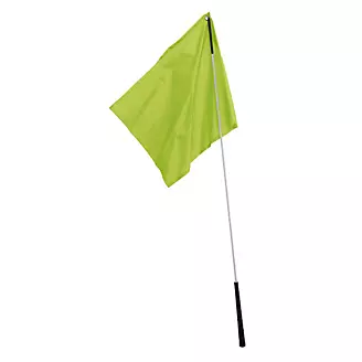 Flag Training Stick Lime