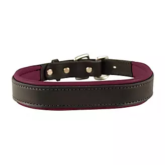 Perris Padded Leather Dog Collar