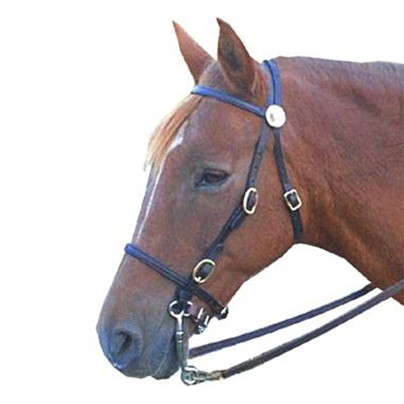 Leather Trail Bridle