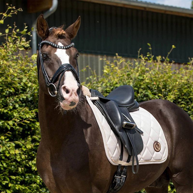 23521103 Back on Track Haze Collection Dressage Pad Full Be sku 23521103