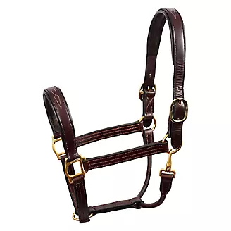 Perris Fancy Stitched Leather Halter