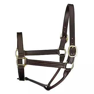 Perris TrackStyle Leather Show Halter