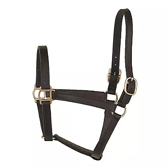 Perris 1 Inch Track Turnout Halter