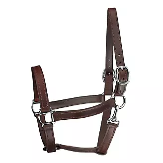 Perris 1In Track T/O Halter w/Snap