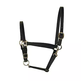 Perris 3/4 Inch Weanling T/O Halter No Snap