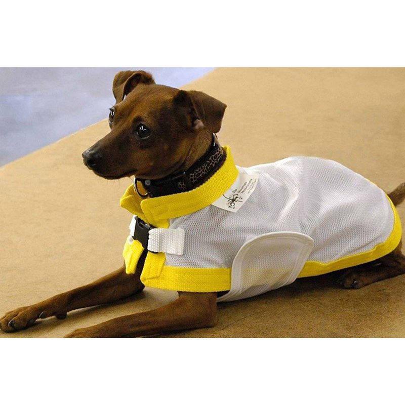 Saratoga Horseworks K9 Kool Coat 28in White/Black