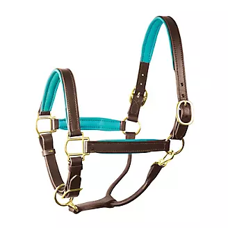 Perris Padded Leather Halter