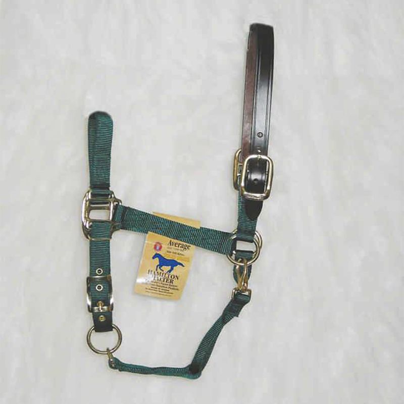 Hamilton Adjustable Halter with Leather Crown Aver