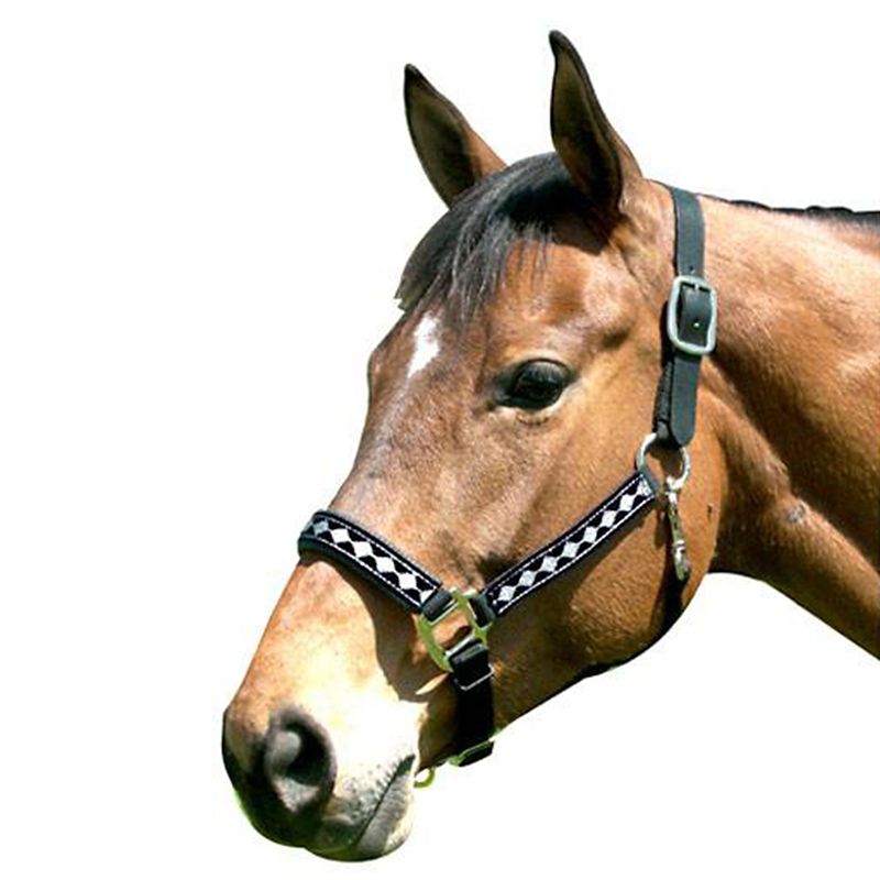 Leather Crown Diamond Pattern Halter Full Blue/ Ne