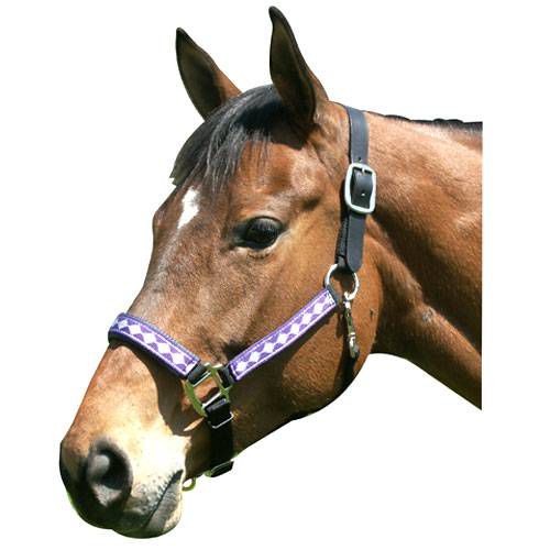 Leather Crown Diamond Pattern Halter Yearling Purp