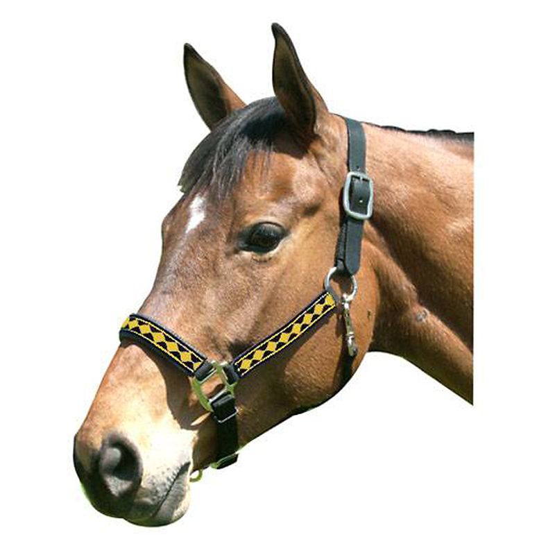 Leather Crown Diamond Pattern Halter Yearling Blac