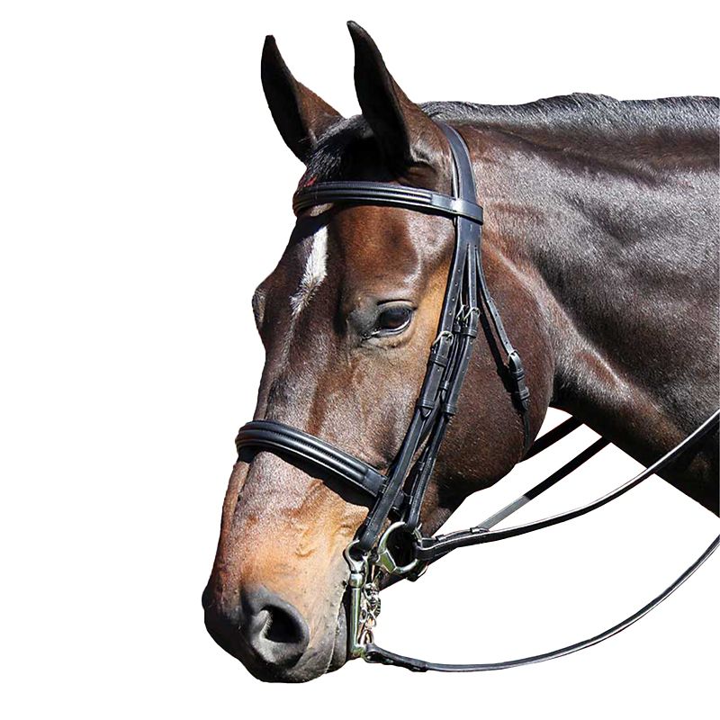 Vespucci Double Raised Weymouth Bridle Cob