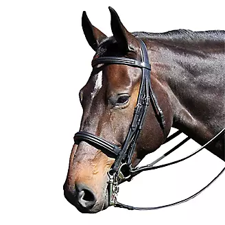 Vespucci Double Raised Weymouth Bridle