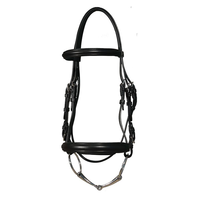 Vespucci Classic Dressage Bridle Cob