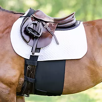Equifit Belly Band Plus with Fleece