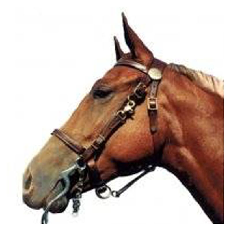 159010C Shenandoah Trail Halter Bridle Combo Brown Cob sku 159010C