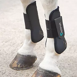 Shires Open Front Tendon Boots