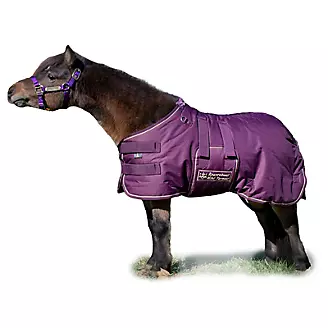 Ozark By Kensington LW Mini/Pony Blanket