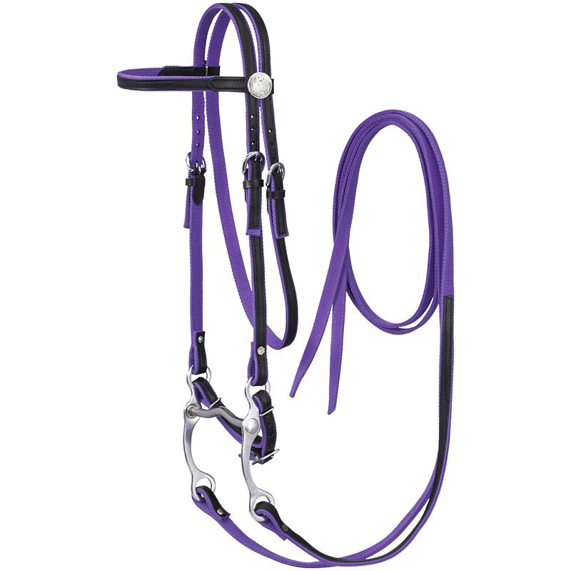 King Series Nylon Browband Bridle Leather Purple