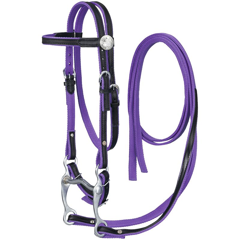 King Series Nylon Pony BB Bridle Leather Purple