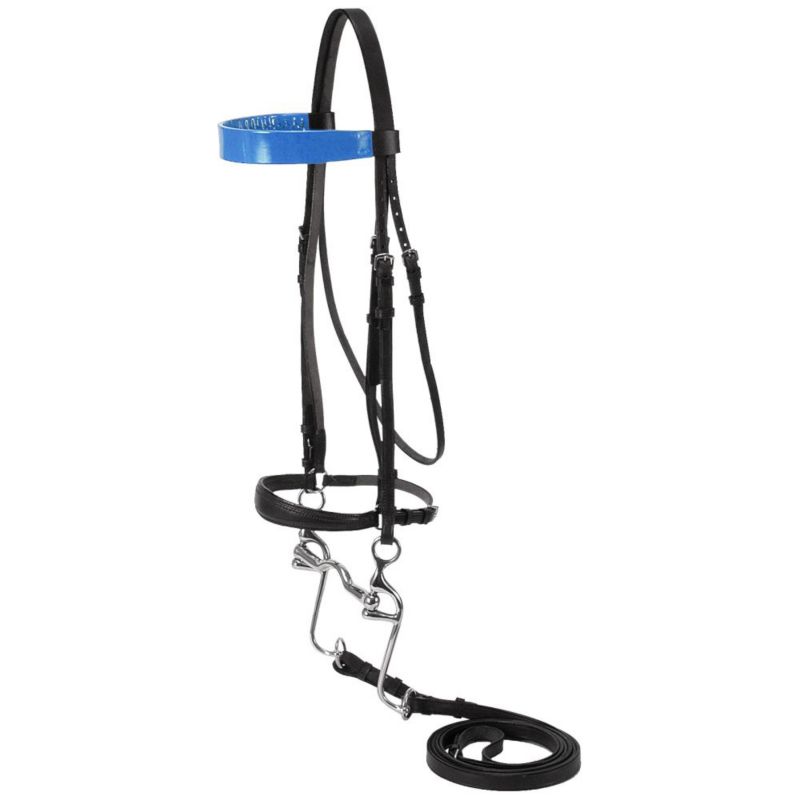 Silver Fox Walking Horse Bridle Black/Blue