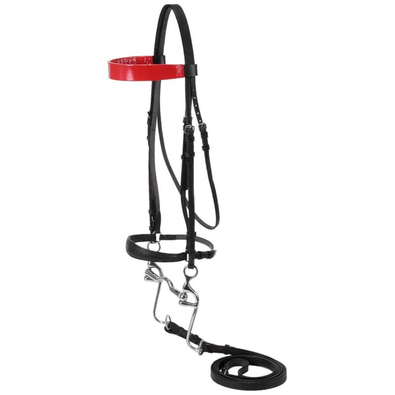 Silver Fox Walking Horse Bridle Black Red