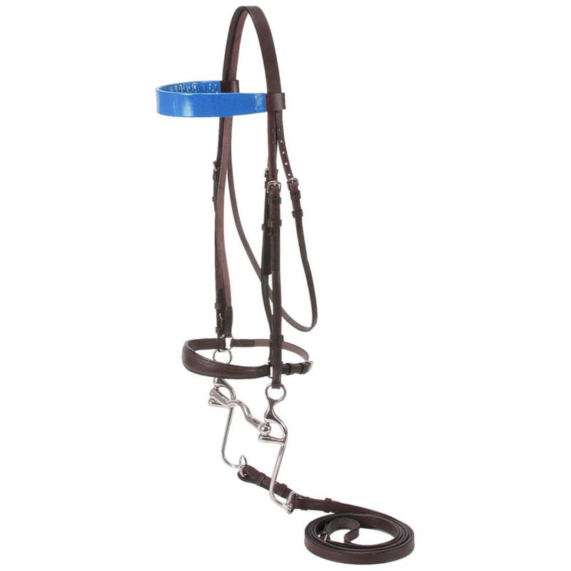 Silver Fox Walking Horse Bridle Brown/Blue