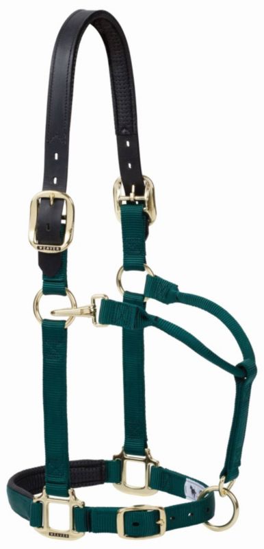 Weaver Breakway Snap Halter Small Hunter Green